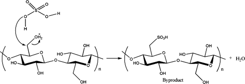 Mechanism of cellulose nanocrystals esterification. Adapted with permission from (Kargarzadeh et al., 2017).