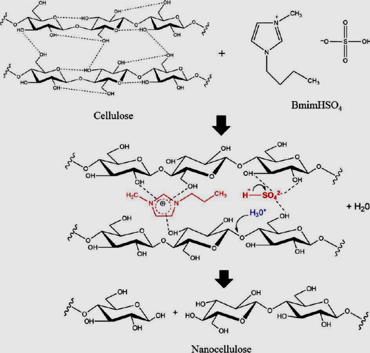 Mechanisms of ionic liquid hydrolysis of cellulose. Adapted with permission from (Low et al., 2020).