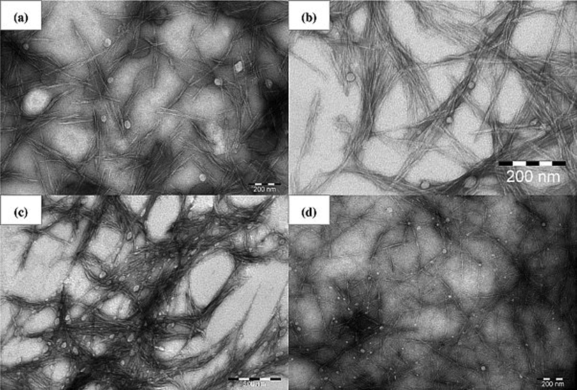 TEM images of (a) cellulose nanocrystals prepared by sulphuric acid hydrolysis, (b) Cellulose nanocrystals prepared by combination of formic acid and hydrochloric acid hydrolysis, (c) Cellulose nanocrystals prepared by formic acid hydrolysis and (d) Cellulose nanocrystals prepared by TEMPO-mediated oxidation. Adapted with permission from (Li et al., 2015).