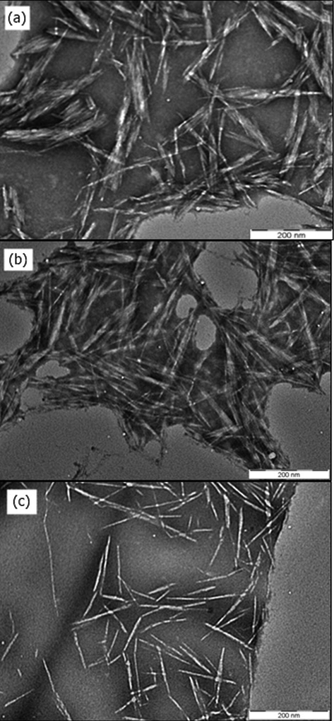 TEM images of microcrystalline cellulose, TEMPO-oxidized microcrystalline cellulose, and cellulose nanocrystals isolated from Elaeis guineensis empty fruit bunches. Adapted with permission from (Rohaizu and Wanrosli, 2017).