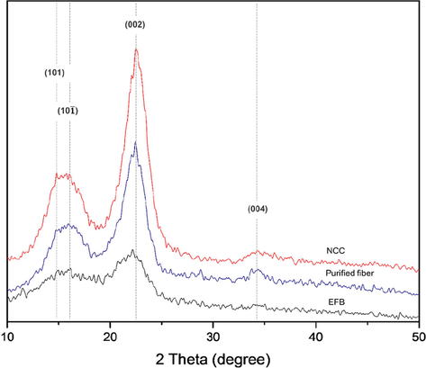 XRD analyses conducted on raw empty fruit bunches, fibres after a chemical pretreatment, and cellulose nanocrystals. Adapted with permission from (Foo et al., 2019).