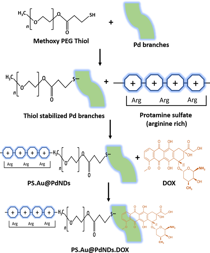 Illustration showing the preparation of PS-modified Au@PdNDs and subsequent DOX conjugation.