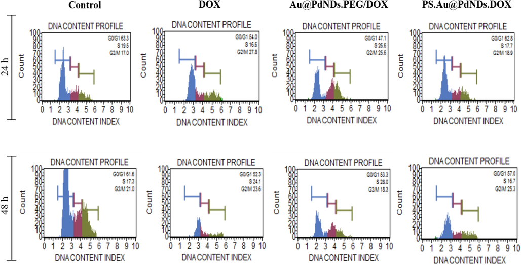 Representative cell cycle distribution plots showing the cell cycle phase induction by DOX, Au@PdNDs.PEG/DOX, and PS.Au@PdNDs.DOX after treatment on MCF-7 cells for 24 h and 48 h. The untreated cells were used as the negative control.