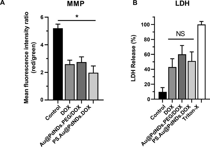 (A) Mitochondrial membrane potential (MMP) detected (B) Assessment of necrosis by lactate dehydrogenase (LDH) release in MCF-7 cells upon treatment with DOX, Au@PdNDs.PEG/DOX, and PS.Au@PdNDs.DOX for 24 h (Triton-X solution induce maximum LDH release of 100%). Data were expressed as mean ± SD (n = 3) with *P < 0.05 considered statistically significant.