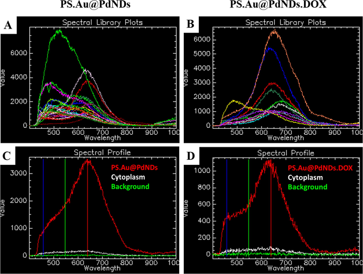 Spectral profile of PS.Au@PdNDs.DOX internalized in MCF-7 cells at 2 h. Reflectance spectral libraries of (A) PS.Au@PdNDs (B) PS.Au@PdNDs.DOX and their respective mean spectral profiles after treatment in cells (C-D).