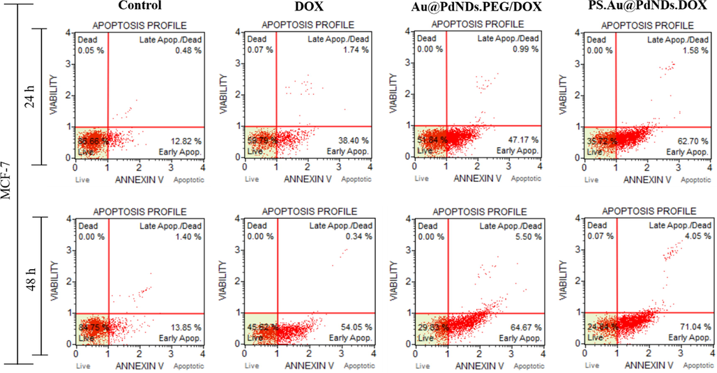 Representative plots of apoptotic induction by Au@PdNDs.PEG/DOX and PS.Au@PdNDs.DOX on MCF-7 cells were treated for 24 h and 48 h at respective IC50 values (µg/mL). The distribution of the rate of early and late apoptosis induced by PS.Au@PdNDs.DOX was determined by flow cytometry and compared with negative control (untreated), positive control (DOX), and the passive targeted Au@PdNDs.PEG/DOX.
