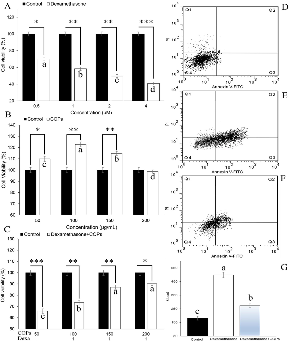 (A) Effects of dexamethasone on cell viability in vitro. (B) Effects of Curculigo orchioides polysaccharide (COPs) on cell viability in vitro. (C) Effect of COPs on cell viability pre-treated with dexamethasone in vitro. Two-dimensional contour density plots of osteoblasts cells determined by flow cytometry assay. (D) Control (Q1: 5.21%, Q2: 1.02%, Q3: 2.85% and Q4: 90.92%), (E) Dexamethasone (1 µM) (Q1: 15.11%, Q2: 22.60%, Q3: 29.02% and Q4: 32.81%), (F) Curculigo orchioides polysaccharide (150 µg/mL) + dexamethasone (1 µM) (Q1: 10.37%, Q2: 19.46%, Q3: 20.15% and Q4: 50.02%). Cell death measured using propidium iodide (PI) and Annexin V-FITC staining, (G) the effects of dexamethasone and Curculigo orchioides polysaccharide + dexamethasone on the ROS production. Statistical differences were measured at level of *P < 0.05, **P < 0.01 and ***P < 0.001.
