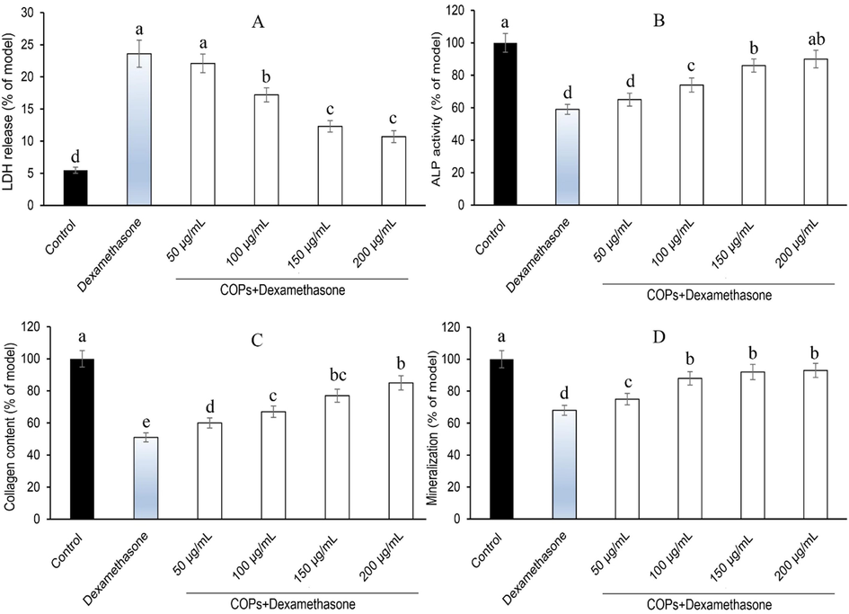 Effects of Curculigo orchioides polysaccharide on (A) lactate dehydrogenase (LDH), (B) alkaline phosphatase (ALP) activity, (C) collagen (COL: measured by a Sirius Red-based assay) and (D) mineralization of human primary osteoblasts cells in vitro. a,b,c,d,e Least square means with different letters in superscripts are different at *P < 0.05.