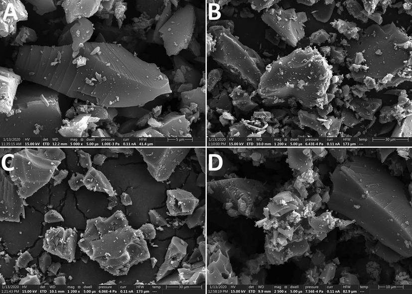 SEM images of adsorbents (A) AC (B)AC-N (C) AC-N-Mo and (D) AC-Mo.