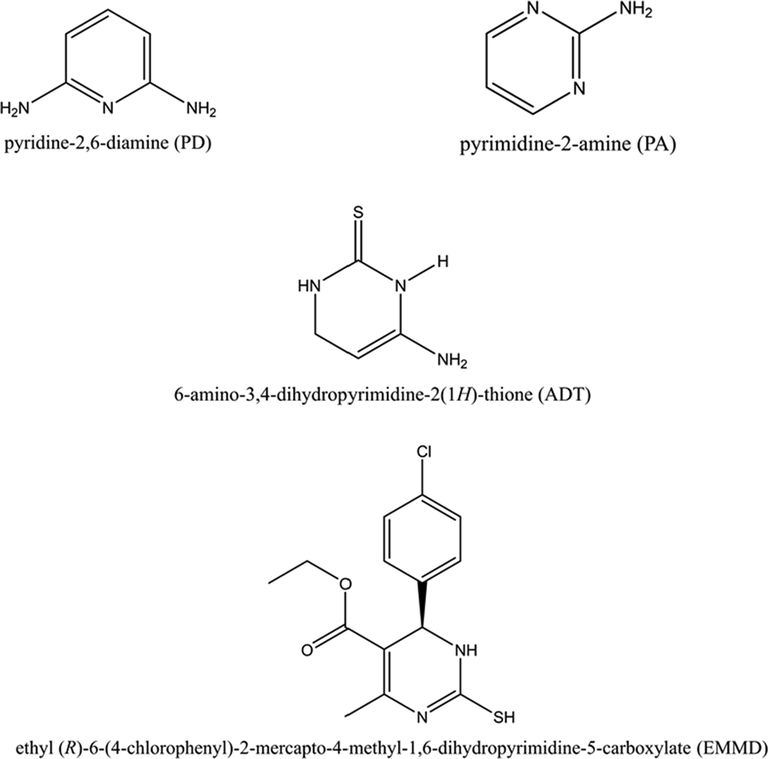 Chemical structures of the studied compound.