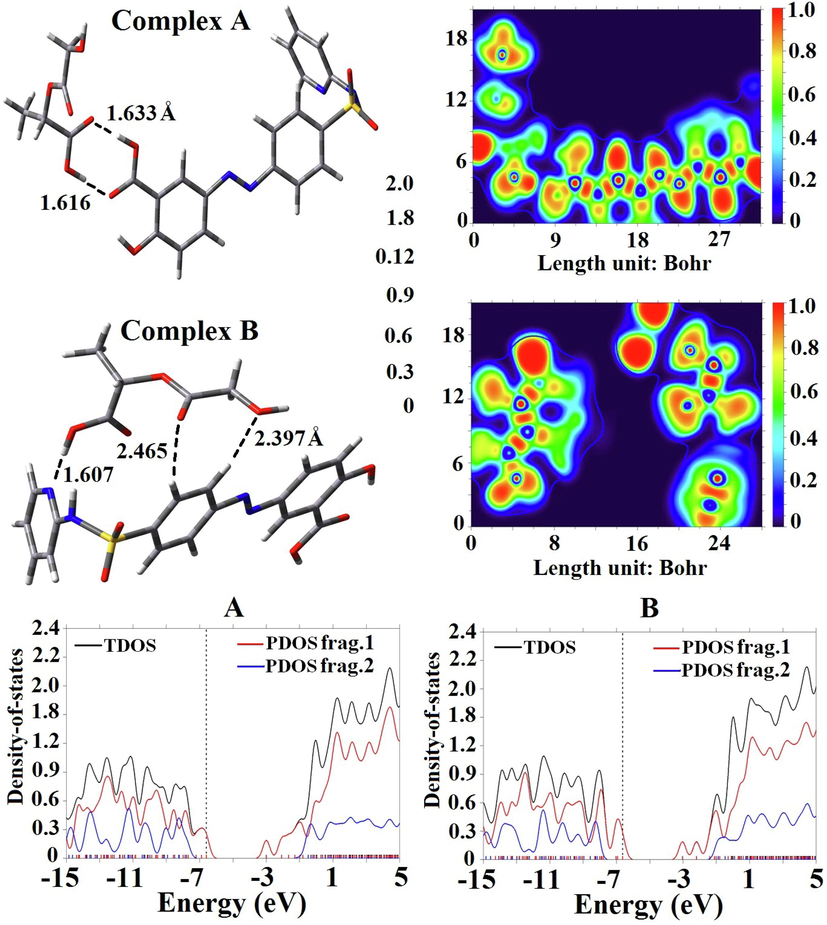 Optimized geometries and ELF maps of SSZ interact with PLGA in different configurations.