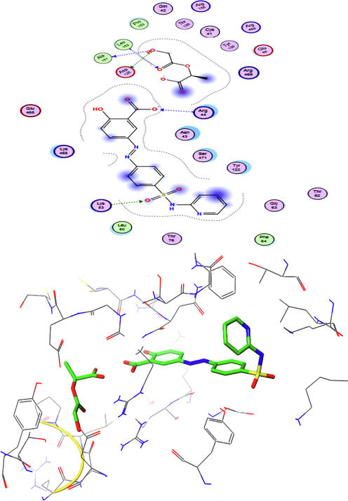 Presentation of 2D and 3D models of interactions between complex A and COX-2 (PDB ID: 1CX2).
