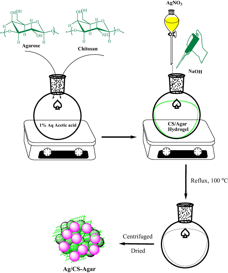 Synthetic preparation of Ag/CS-Agar bio nanocomposite.