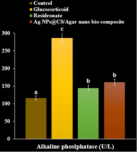 The effect of Ag NPs@CS/Agar nano bio-composite on alkaline phosphatase concentration in osteoporosis induced by Glucocorticoid in rats.