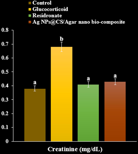 The effect of Ag NPs@CS/Agar nano bio-composite on creatinine concentration in osteoporosis induced by Glucocorticoid in rats.