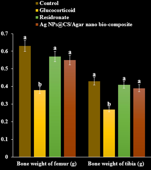 The effect of Ag NPs@CS/Agar nano bio-composite on bone weight of femur and tibia in osteoporosis induced by Glucocorticoid in rats.