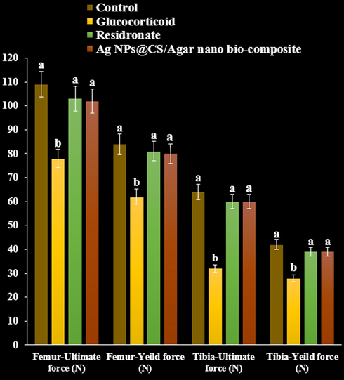 The effect of Ag NPs@CS/Agar nano bio-composite on yield and ultimate forces (Femur and tibia) using three points test in osteoporosis induced by Glucocorticoid in rats.