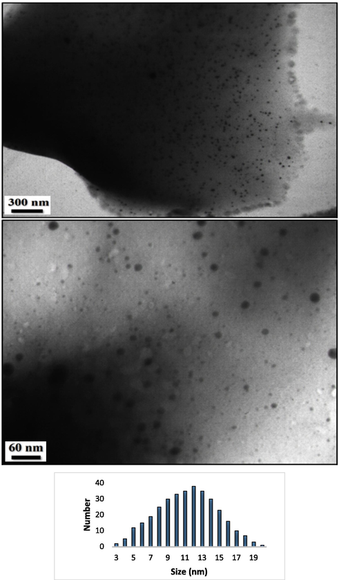 TEM images of the Ag NPs@CS/Agar nano bio-composite and particle size distribution histogram for Ag NPs.