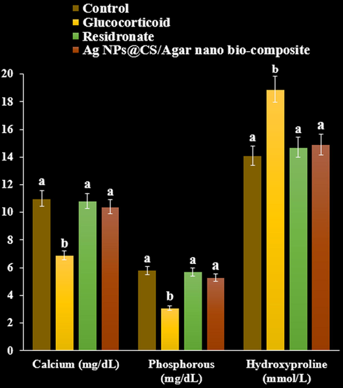 The effect of Ag NPs@CS/Agar nano bio-composite on calcium, phosphorous, and hydroxyproline concentrations in osteoporosis induced by Glucocorticoid in rats.