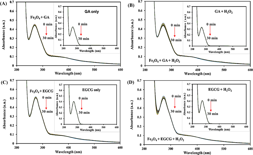 The investigation of UV–VIS spectra over time for 1 mM GA (A, B) and 1 mM EGCG (C, D) catalyzed by Fe3O4 MNPs in the absence and presence of H2O2. Inset show the control experiment without the addition of Fe3O4 MNPs. Conditions: Fe3O4 MNPs 400 μg/mL 20 μL, TMB 20 mM 20 μL, H2O2 10 mM 20 μL, acetate buffer (pH 3.7) 200 mM 1170 μL. The spectra were recorded every 3 min for 30 min.