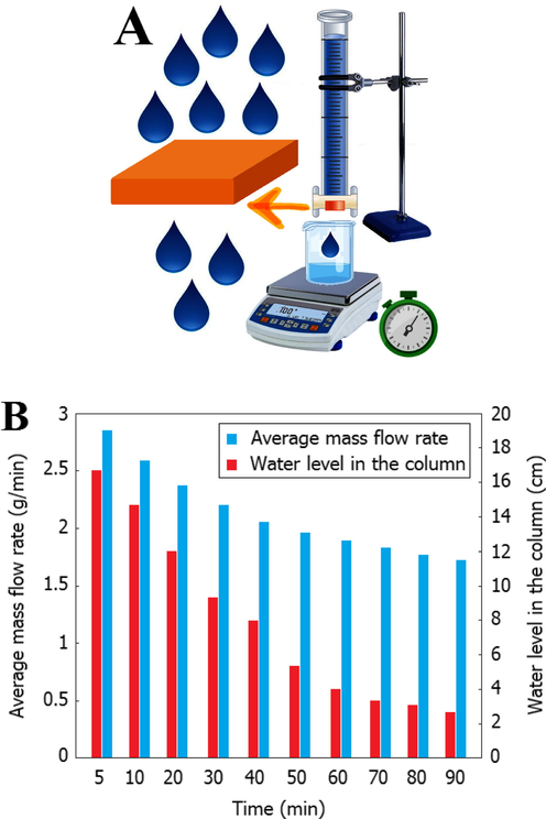 Schematic of water permeability test in sponge-like nanocomposite ceramic adsorbent (a), The relationship between the water level in the column and the average mass flow rate from the sponge-like nanocomposite ceramic (b).