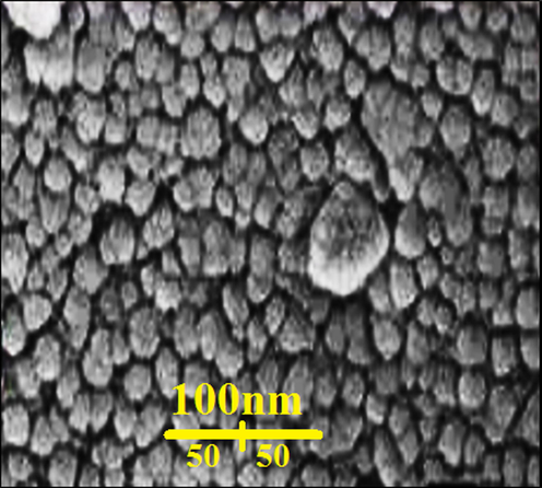 FE-SEM image of Au nanoparticles green-synthesized by Foeniculum vulgare seeds.