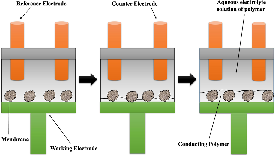 Electrochemical polymerization.