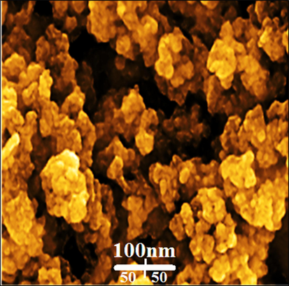 FESEM image of FeNPs.
