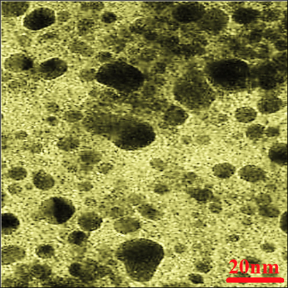 TEM image of FeNPs.