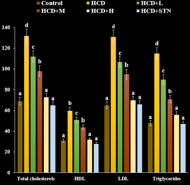 Effects of FeNPs on plasma lipid profile concentration ((mg dL -1)) after six months in control and experimental animals (n = 6). HCD: High cholesterol diet, HCD + L: Low dose (100 µg kg-1) of FeNPs, HCD + M: Medium dose (200 µg kg-1) of FeNPs, HCD + H: High dose (400 µg kg-1) of FeNPs, and HCD + STN: Atorvastatin (10 mg kg-1) group.