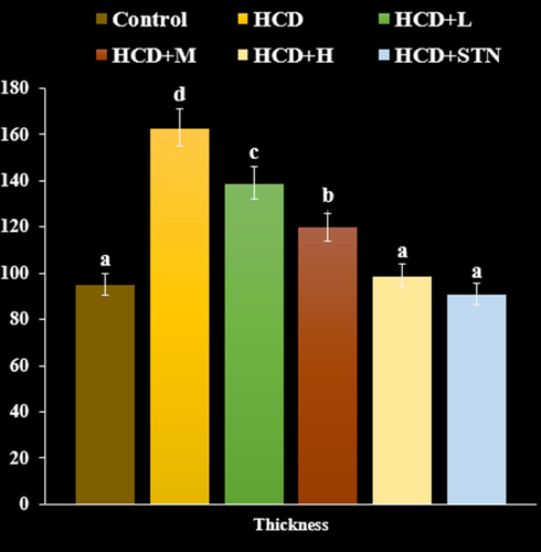 Measurements of intima and media layers thickness (µm) of thoracic aortas from rats treated with or without FeNPs (n = 6). HCD: High cholesterol diet, HCD + L: Low dose (100 µg kg-1) of FeNPs, HCD + M: Medium dose (200 µg kg-1) of FeNPs, HCD + H: High dose (400 µg kg-1) of FeNPs, and HCD + STN: Atorvastatin (10 mg kg-1) group.