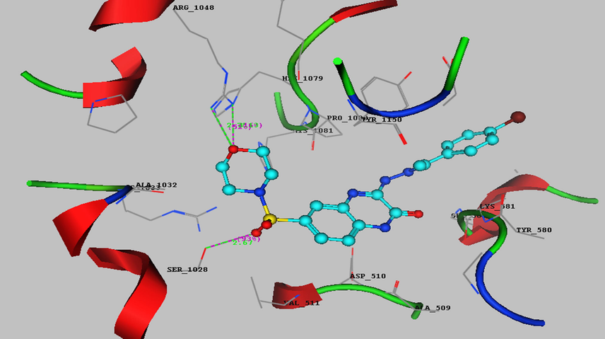 3D interaction between the quinoxaline derivative 8a and the active site of DNA gyrase (2XCT).