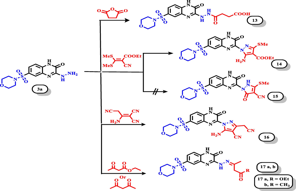 Synthesis of new quinoxaline derivatives containing pyrazole 14–16 or hydrazone 13, and 17a, b moiety.