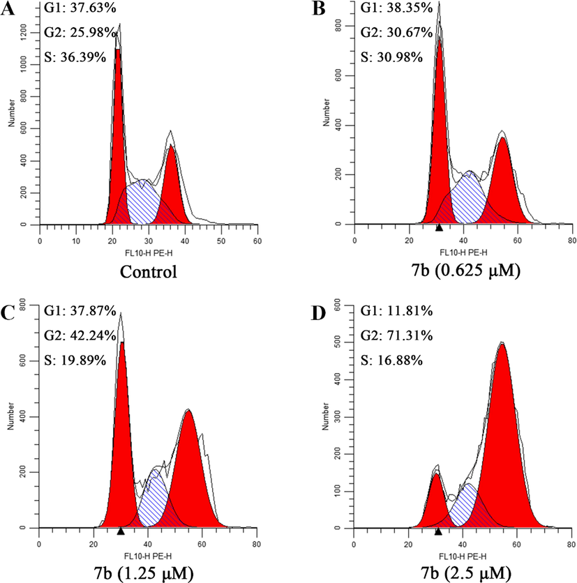 Effect of compound 7b on cell cycle in MCF-7 cells. Flow cytometry of MCF-7 cells treated with 7b for 24 h. (A) Control; (B) 7b, 0.625 μM; (C) 7b, 1.25 μM; (D) 7b, 2.5 μM.