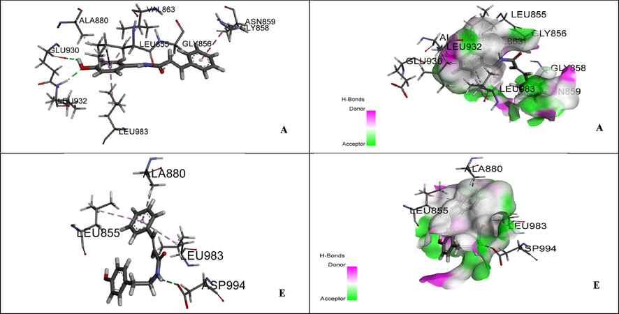 Ligand interaction diagram of A and with active site of Janus kinase (II).
