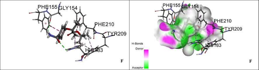 Ligand interaction diagram of B,C, and F with active site of HDAC II receptor.
