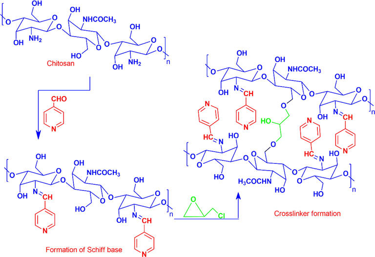 Fabrication of hydrogels I, and Ie.
