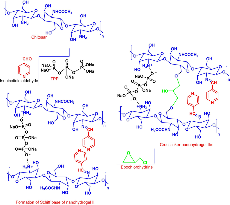 Fabrication of hydrogels II, and IIe.