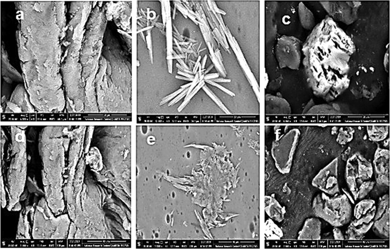 SEM at 20 μm of hydrogels (a) Cs, (b) I, (c) Ie, and at 40 μm of hydrogels (d) Cs, (e) I, (f) Ie.