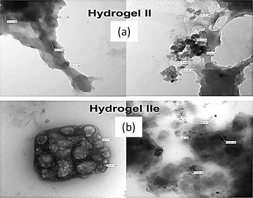 TEM images of nanohydrogels a) II at Magnification: 40000×, 50000×, and b) IIe at Magnification: 25000×, 60000×.