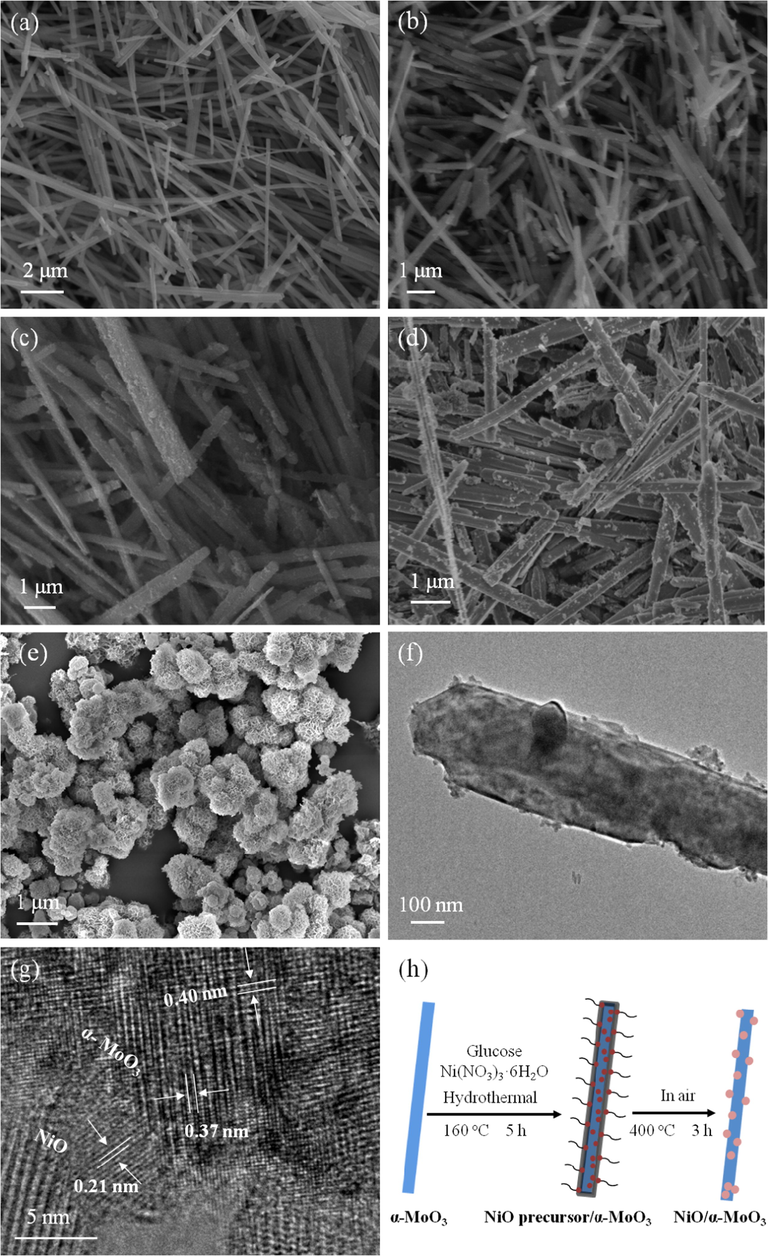 SEM images of (a) α-MoO3, (b) 1% NiO/α-MoO3, (c) 3% NiO/α-MoO3, (d) 5% NiO/α-MoO3 and (e) NiO; TEM (f) and HRTEM (g) images of 3% NiO/α-MoO3; (h) Schematic illustration for the preparation of the NiO/α-MoO3 heterojunctions.