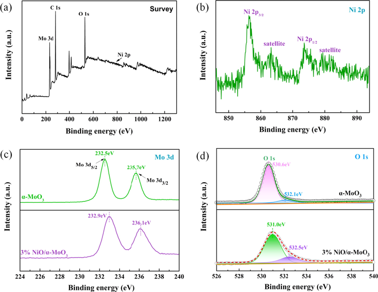 Full survey scan spectra (a) and Ni 2p XPS spectra (b) of 3% NiO/α-MoO3 heterojunction; high-resolution XPS spectra of Mo 3d (c) and O 1s (d) of bare α-MoO3 and 3% NiO/α-MoO3 heterojunction.