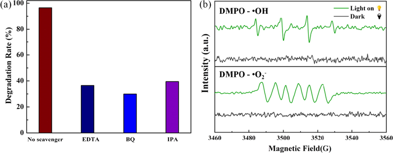 (a) Active species trapping experiments of MB degradation over 3% NiO/α-MoO3; (b) ESR spectra of 3% NiO/α-MoO3 heterojunction: DMPO- •O2 - in methanol dispersion and DMPO- •OH in aqueous dispersion.