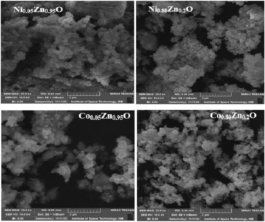 SEM micrographs of metal dopant (Ni, Co) ZnO nanoparticles NPs.