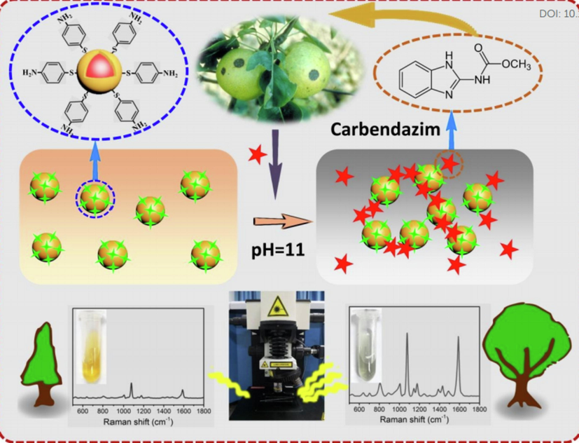 Au@Ag Nanoparticle for Carbendazim detect.