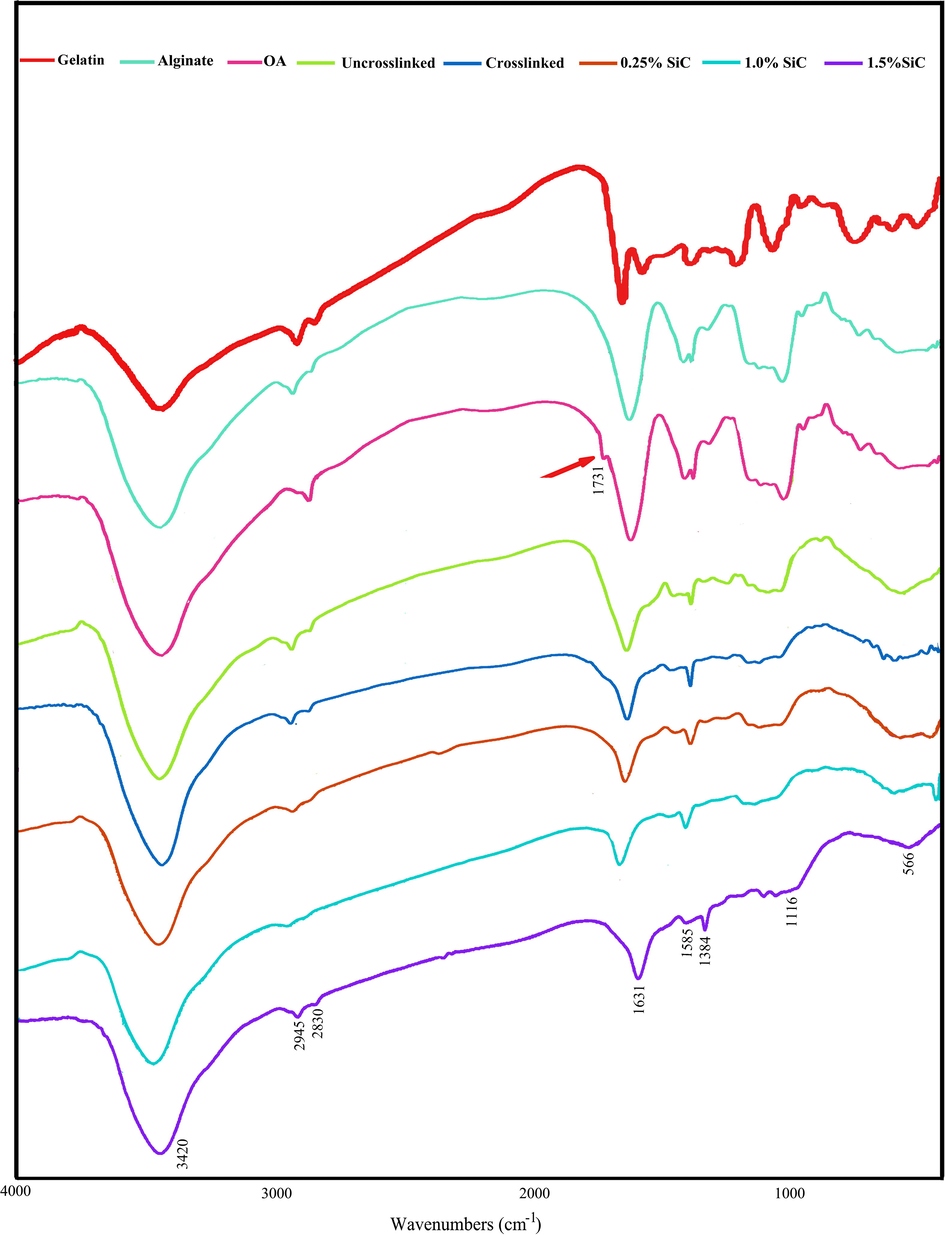 FTIR spectrum of gelatin, alginate, oxidized alginate, and the hydrogels.