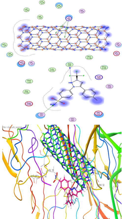 Docking of 2D and 3D models of interaction between Model B and TNF-α receptor.