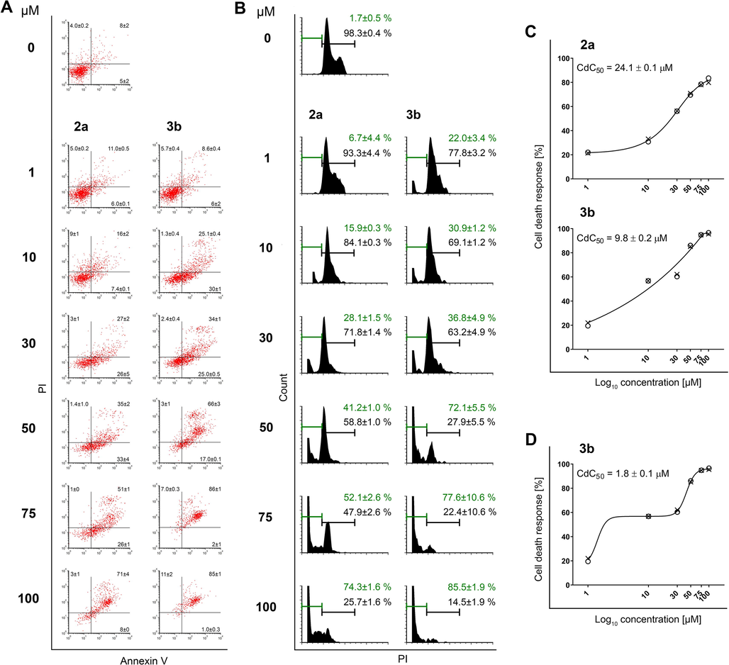 Anticancer activity of compounds 2a and 3b in A549 cells after 24 h of treatment. (A) Representative figures of Annexin V/propidium iodide (PI) dual staining. Numbers show the mean ± SD percentages of two replicates from independent experiments. (B) Representative images and percentages of events at the Sub-G0/G1 population (green), and percentages of live cells distributed in phases of mitotic division (black). Each data point represents the mean ± SD of two replicates from independent experiments. (C) Concentration-response curves plotted by the asymmetric five-parameter sigmoidal equation in GraphPad Prism 8 software, according to data acquired by means of Annexin V/PI staining from two independent experiments (circles and crosses). (D) Concentration-response curve plotted by the biphasic sigmoidal least squares fit equation in GraphPad Prism 8 software, according to data acquired by means of Annexin V/PI staining from two independent experiments (circles and crosses). CdC50 values (C and D) express the mean ± SD concentration that induces cell death in 50% of treated cells. Instead of Log10 values on X axes (C and D), the exact concentrations are specified to assure compliance with concentrations indicated in corresponding text.