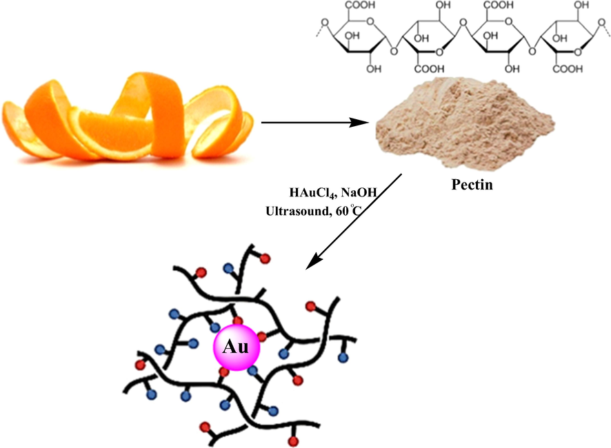 Synthesis of Au NPs@PEC under ultrasound conditions.