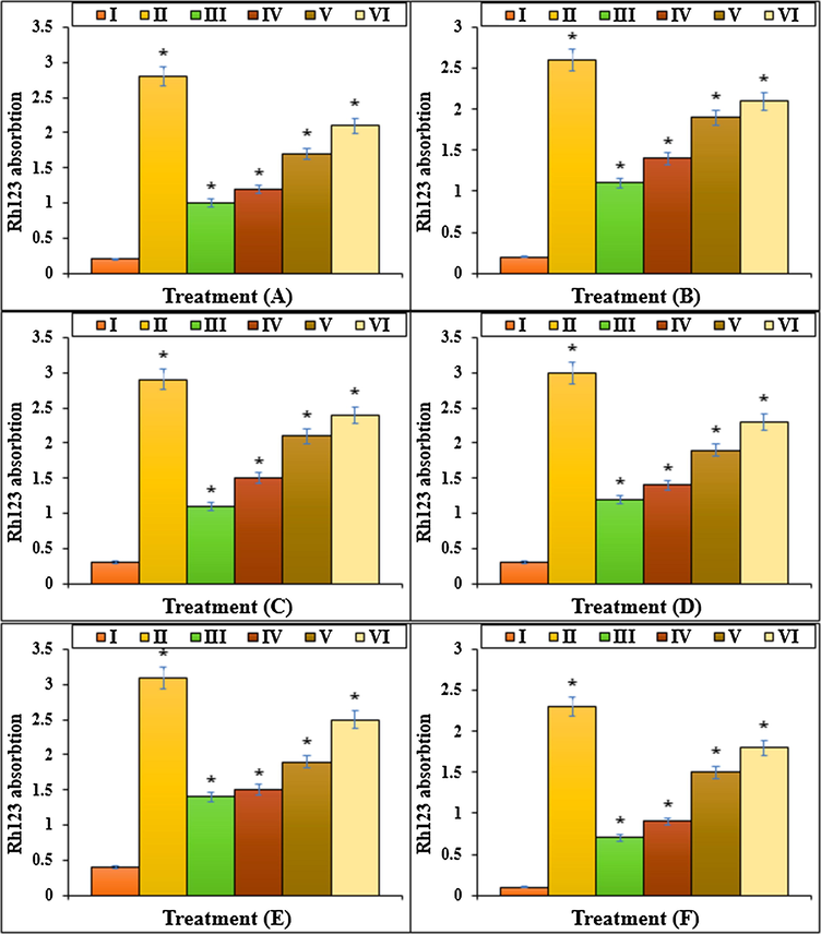 The Rh123 absorption of different treatments after 48 h.I: Methotrexate, II: Control, III: Methotrexate and 2 μg HAuCl4, IV: Methotrexate and 4 μg HAuCl4, V: Methotrexate and 2 μg Au NPs@PEC, VI: Methotrexate and 4 μg Au NPs@PEC. A: BEAS-2B, B: WI-38, C: CCD-19Lu, D: IMR-90, E: MRC-5, F: HEL 299.